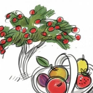 Au p'tit Verger (hébergé dans la CAE Coodem)